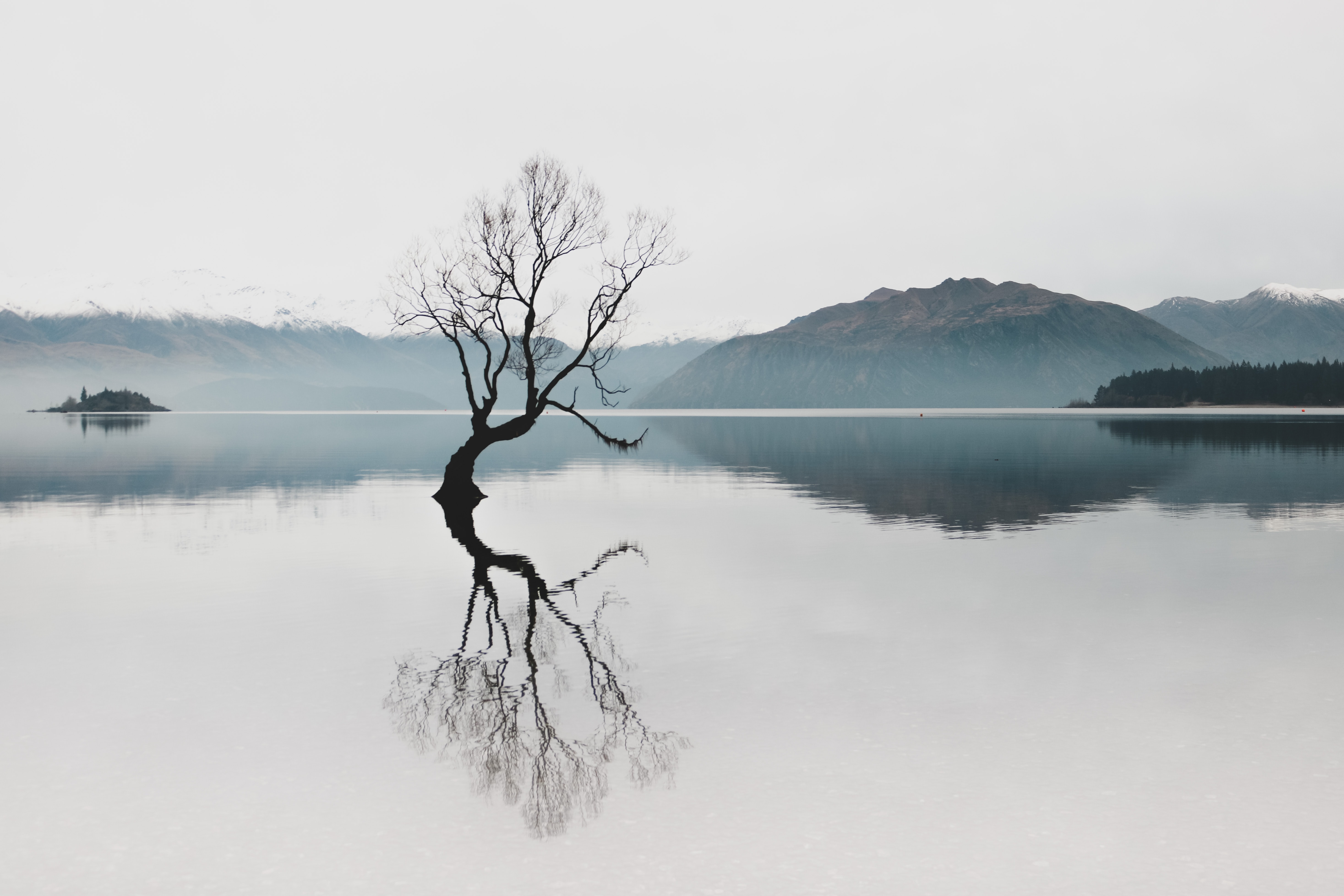 This article explores three practical lessons to help leaders move past hesitation, quiet self-doubt, and lead with clarity. From learning to be direct, to questioning fear, to anchoring in mission, it’s a guide for anyone who wants to grow their confidence without losing authenticity.